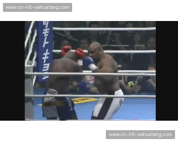 巨兽的对决：胡斯特与萨普，谁是终极格斗之王？